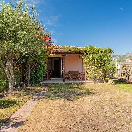 Appartamento Trilocale Le Canne 4 Posti Letto Con Giardino E Posto Auto Privato ซาน เตโอโดโร ภายนอก รูปภาพ