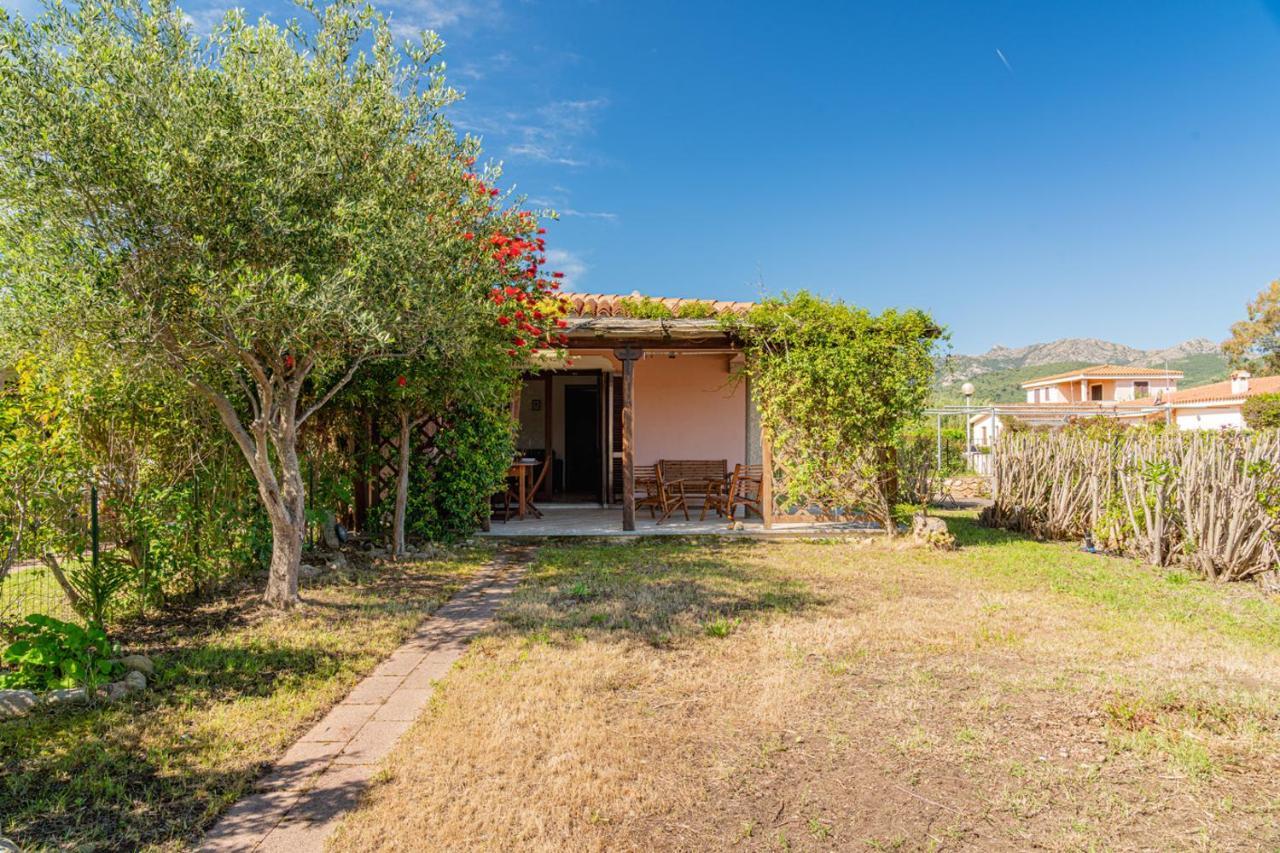 Appartamento Trilocale Le Canne 4 Posti Letto Con Giardino E Posto Auto Privato ซาน เตโอโดโร ภายนอก รูปภาพ